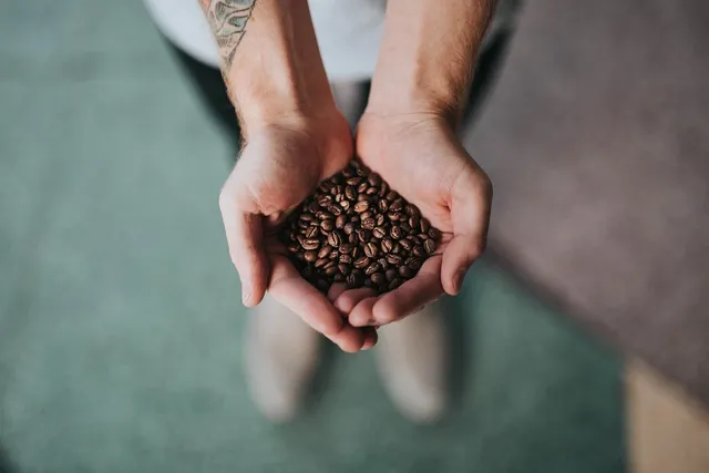 Student Beans